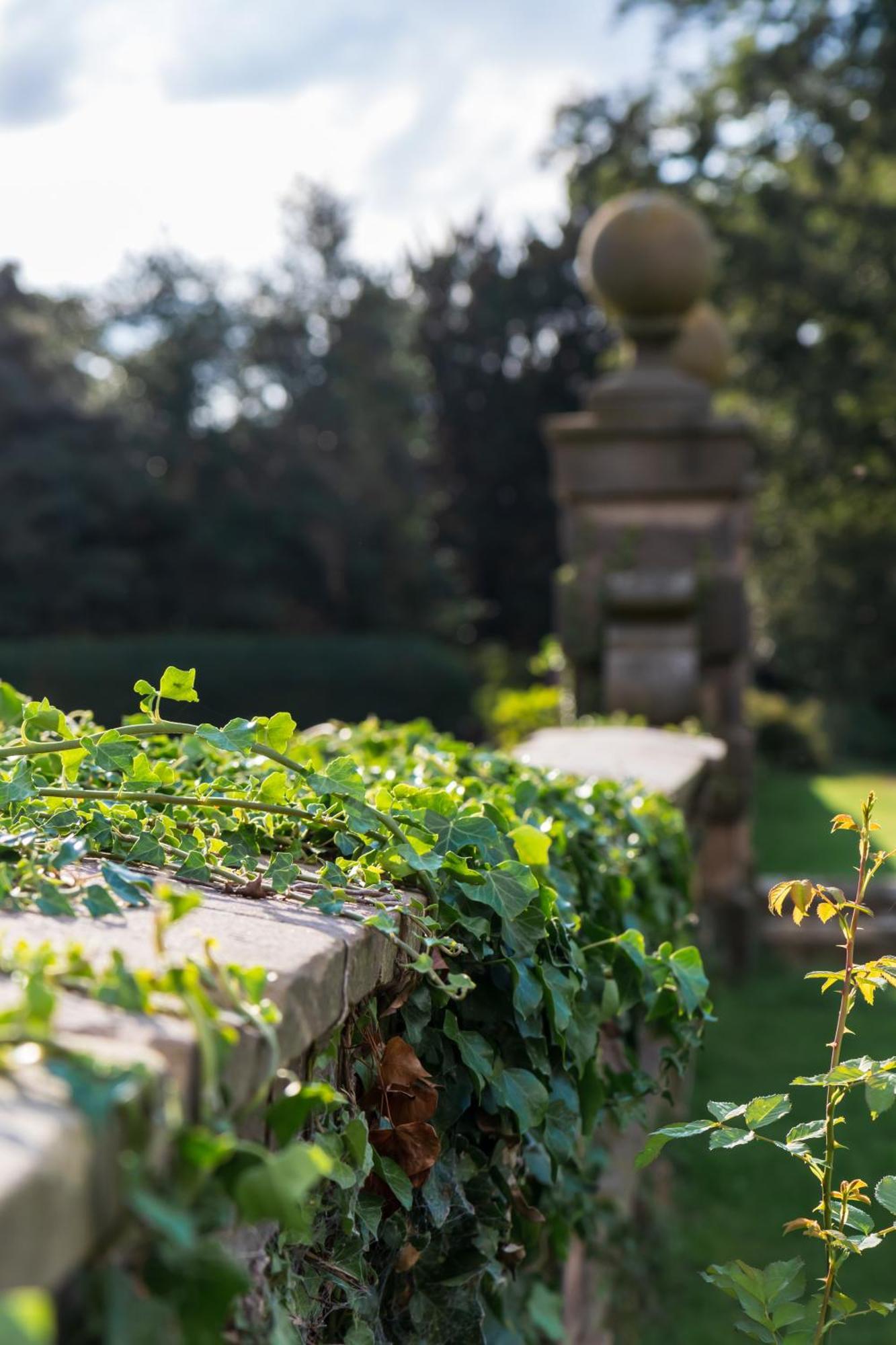 Bosworth Hall Hotel & Spa Market Bosworth Exterior foto
